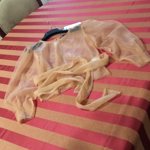 Zara See through puff sleeve nylon top with tie - Picture 5 of 9